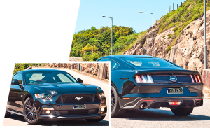 Ford Mustang GT mit einem CarFrame® Kennzeichenhalter Edelstahl poliert (Chrom-Optik)
